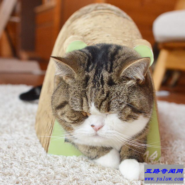 Maru