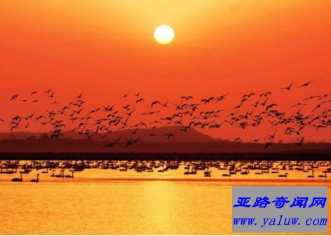 中国最大淡水湖 鄱阳湖面积3960平方公里