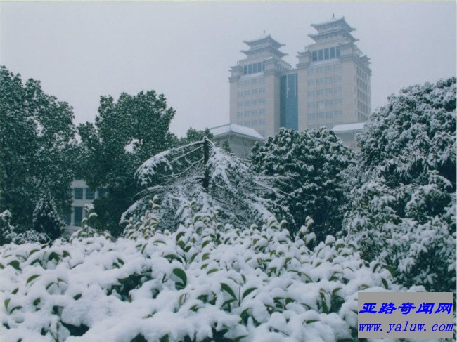 中南民族大学