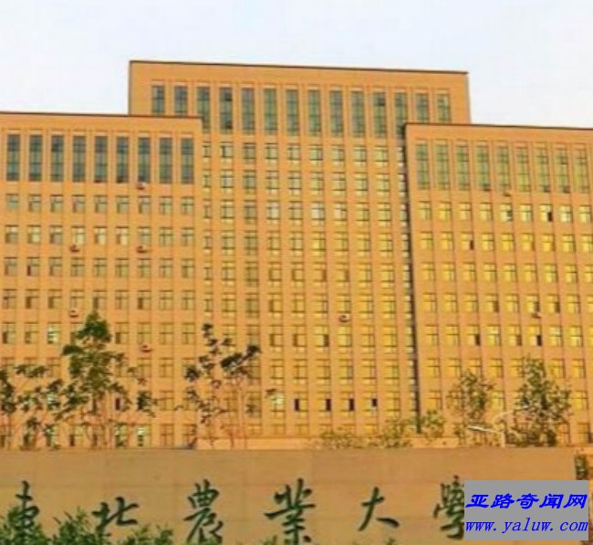 东北林业大学