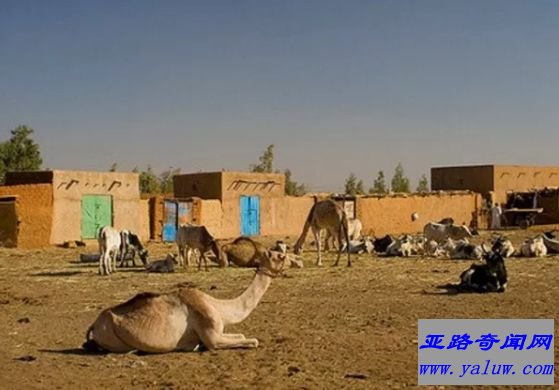 苏丹奥姆杜曼（平均气温：83.4°F）