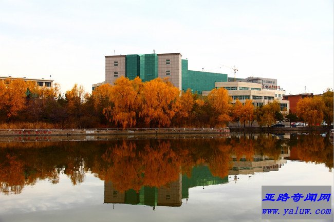 内蒙古大学