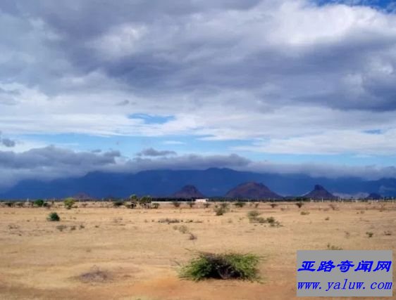 蒂鲁内尔维利，印度（平均气温：84.7°F）