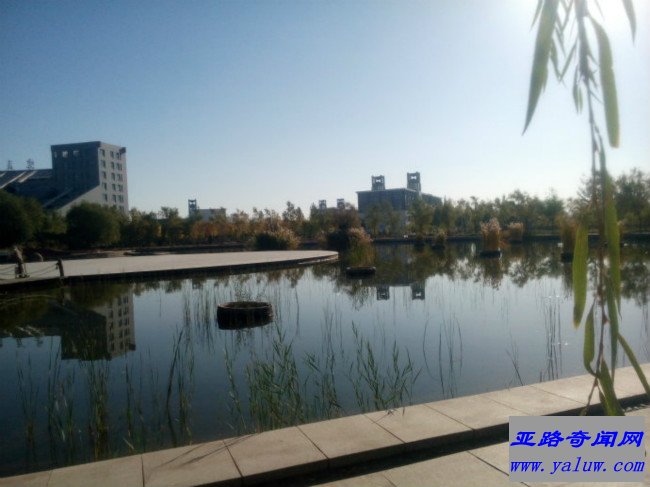 宁夏医科大学