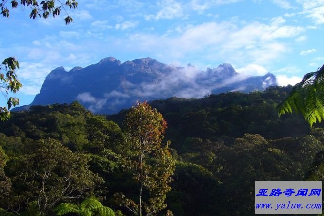 京那巴鲁山