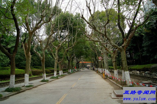 华东政法大学