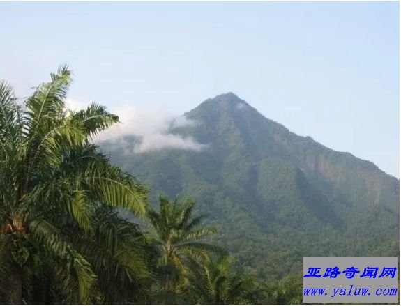 喀麦隆火山，喀麦隆(接近高度:13353英尺)