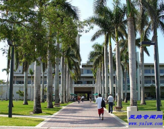 迈阿密大学