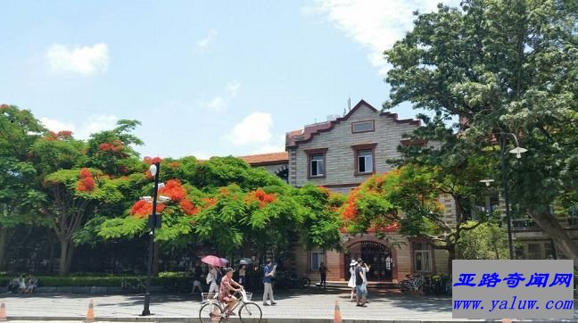 厦门大学——海塘堤岸