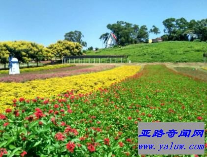 台湾大溪花海农场