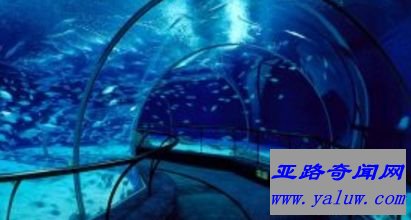 上海海洋水族馆