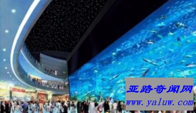 迪拜购物中心水族馆