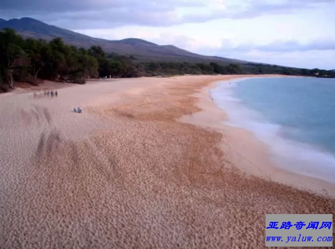 夏威夷最美丽的海滩排行榜：毛伊岛马可纳海滩