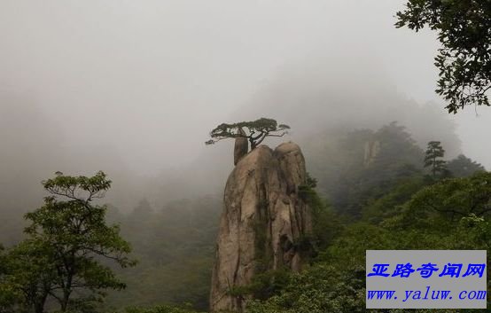 黄山——黄山归来不看山