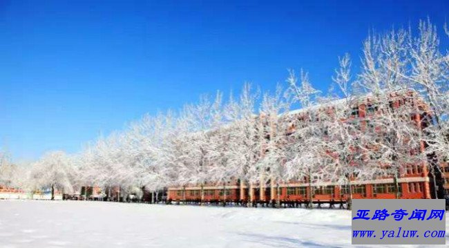 中央民族大学