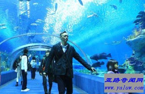 冲绳美之海水族馆——日本