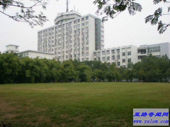 三峡大学