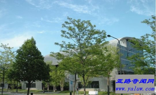 麻省理工学院，西蒙斯公寓