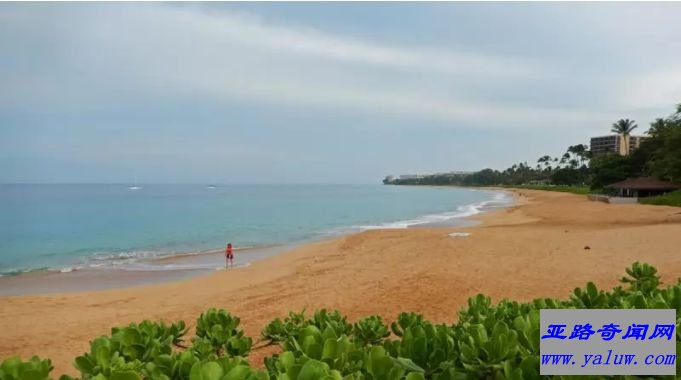 夏威夷最美丽的海滩排行榜：毛伊岛阿纳帕利海滩