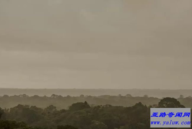 亚马逊热带雨林