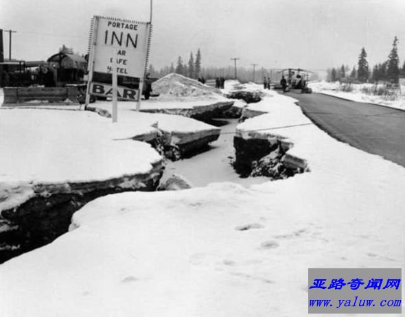 鼠岛地震(1965)