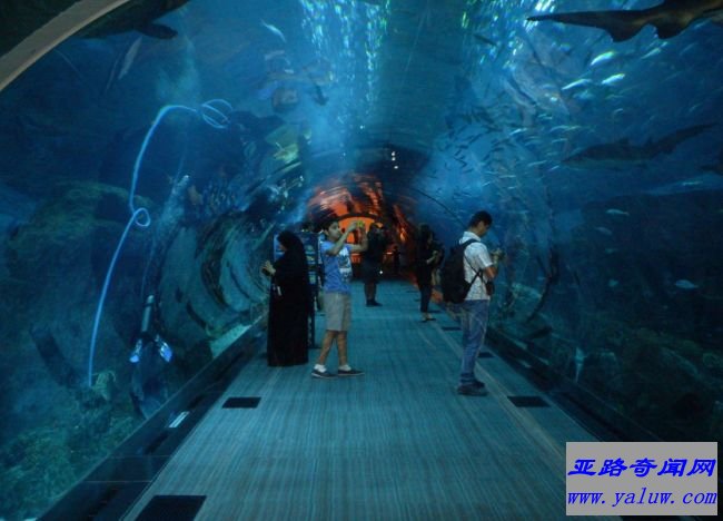 迪拜水族馆