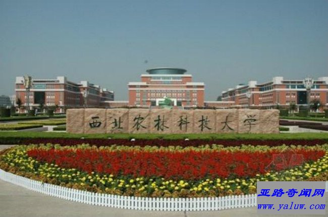 西北农林科技大学