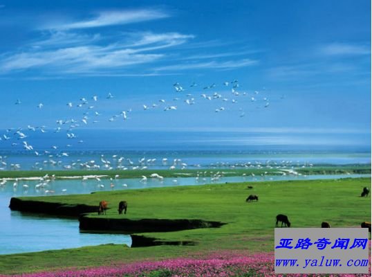 1.中国最大的淡水湖：鄱阳湖