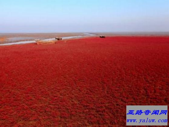 世界上温度最高的海 红海水温可达32度