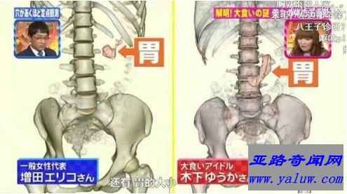 最能吃的日本大胃王木下佑香 强大的胃一顿可以容纳一个月的食物